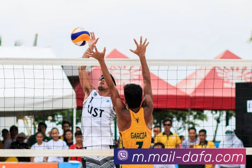 大发彩票平台生态图